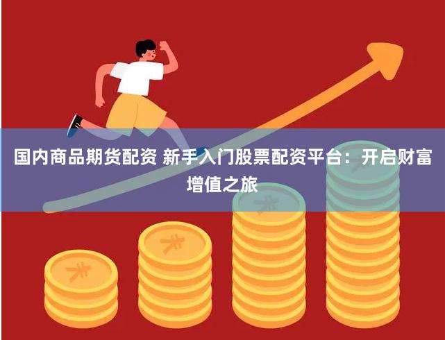 国内商品期货配资 新手入门股票配资平台：开启财富增值之旅
