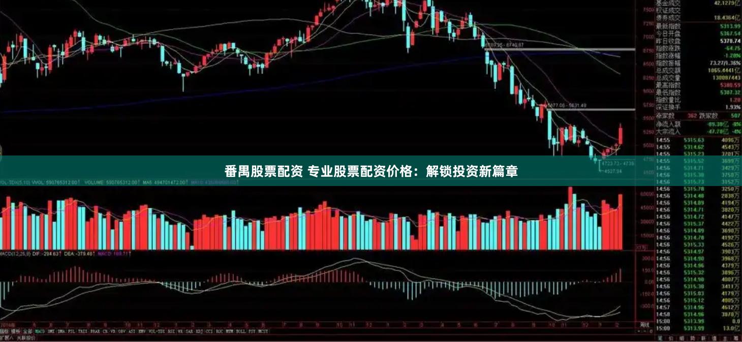 番禺股票配资 专业股票配资价格：解锁投资新篇章