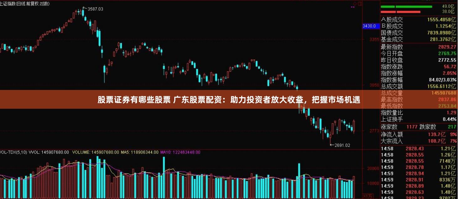 股票证券有哪些股票 广东股票配资：助力投资者放大收益，把握市场机遇