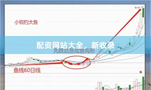 配资网站大全，新收录