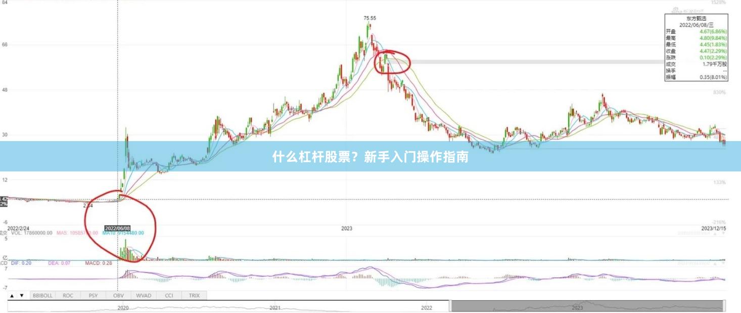 什么杠杆股票？新手入门操作指南